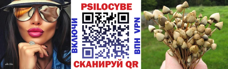 Галлюциногенные грибы MAGIC MUSHROOMS где найти Стрежевой